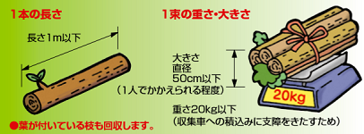 剪定枝の基準